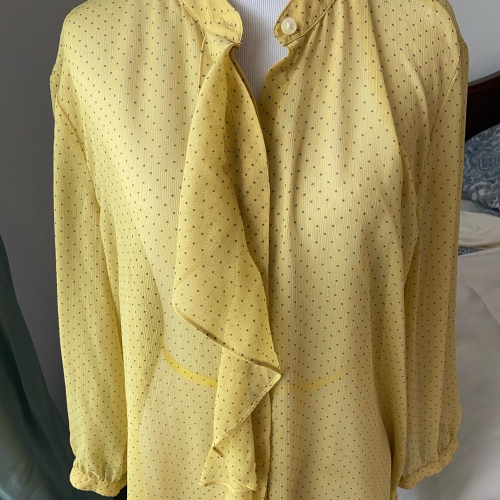 Banana Republic sheer blouse